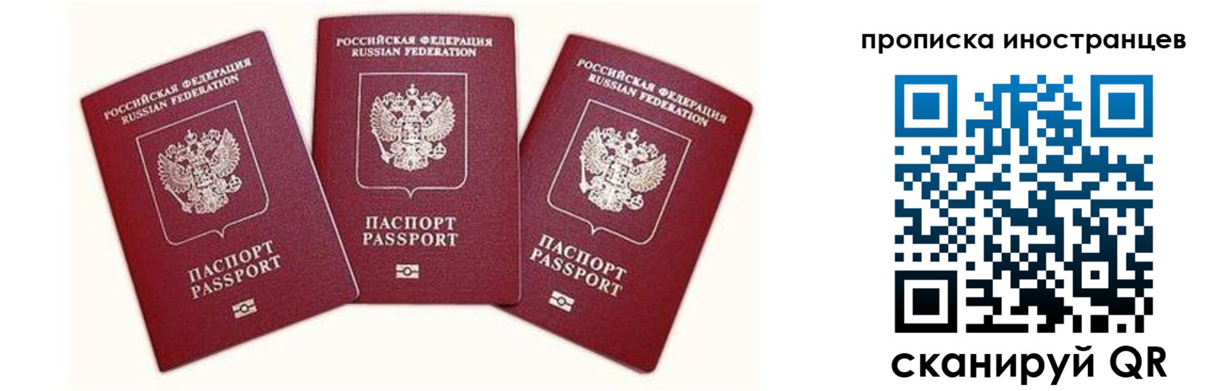 прописка в Дубне