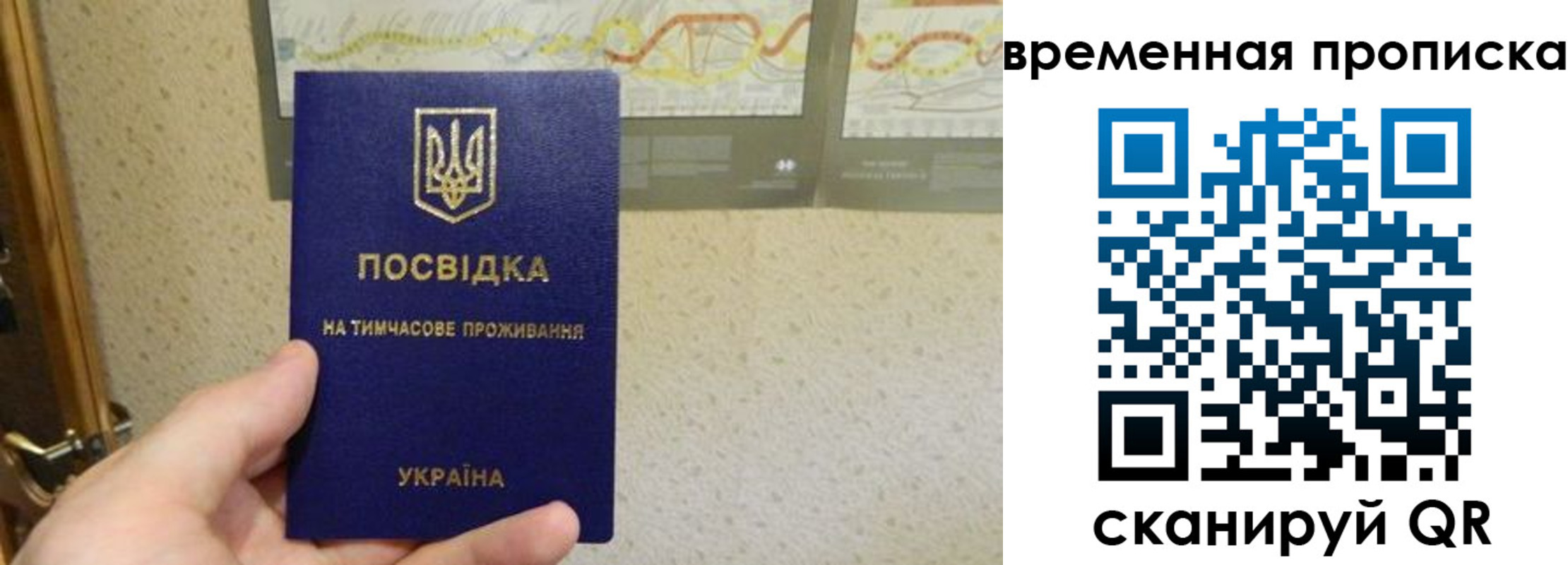 прописка для кредита в Дубне